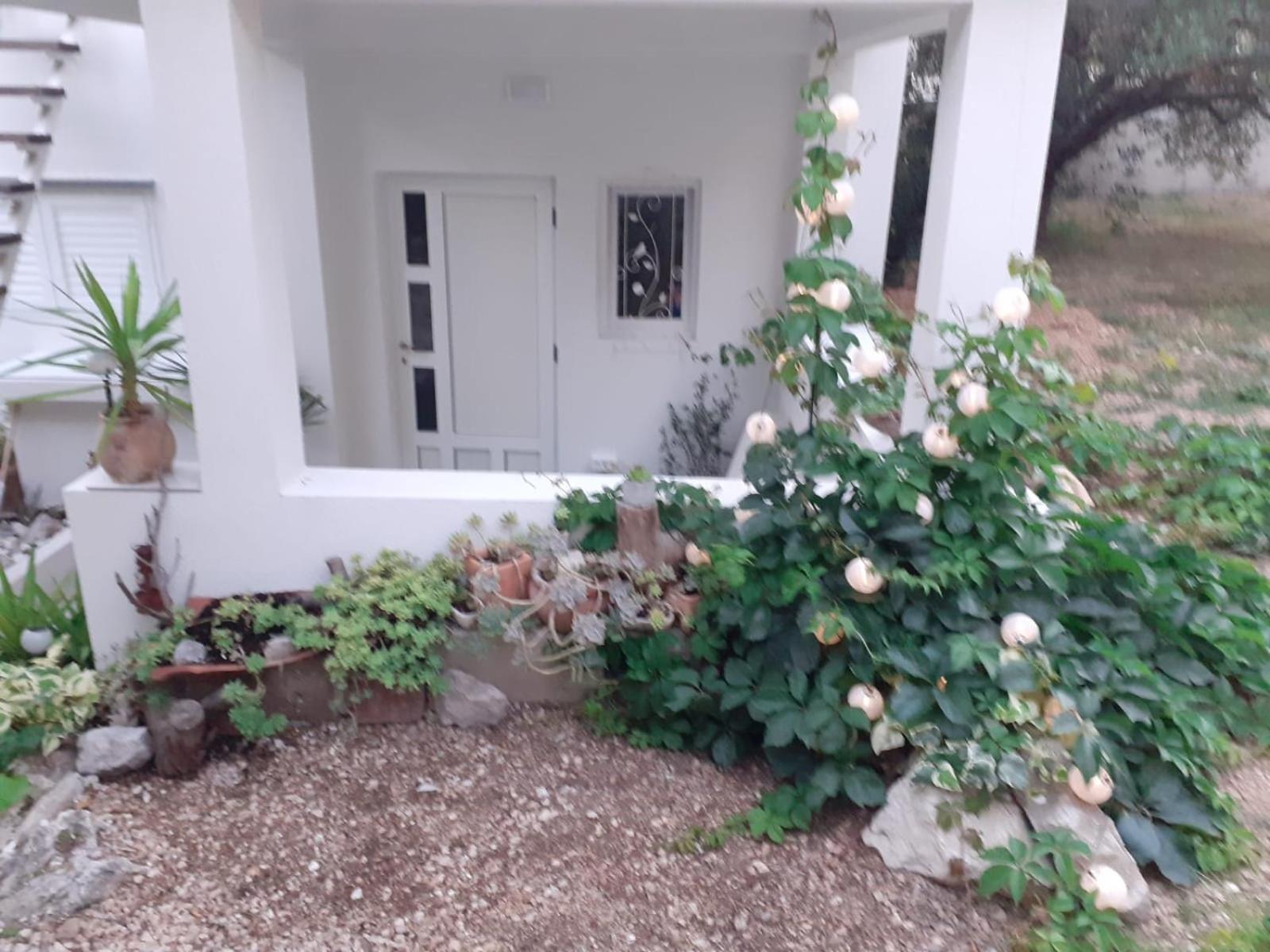 Villa Ana Makarska Room photo